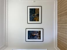 Ny grafikudstilling i Galerie Wolfsen